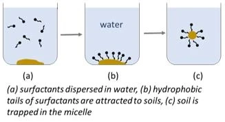 The Essential Role of Surfactants in Everyday Cleaning