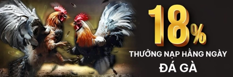 BJ88 🏅Trang Chủ Chính Thức 2025 – Độc Quyền Đá Gà Thomo