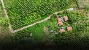 Managed Farmland for Sale: Diversifying Your Investment Portfolio Smartly