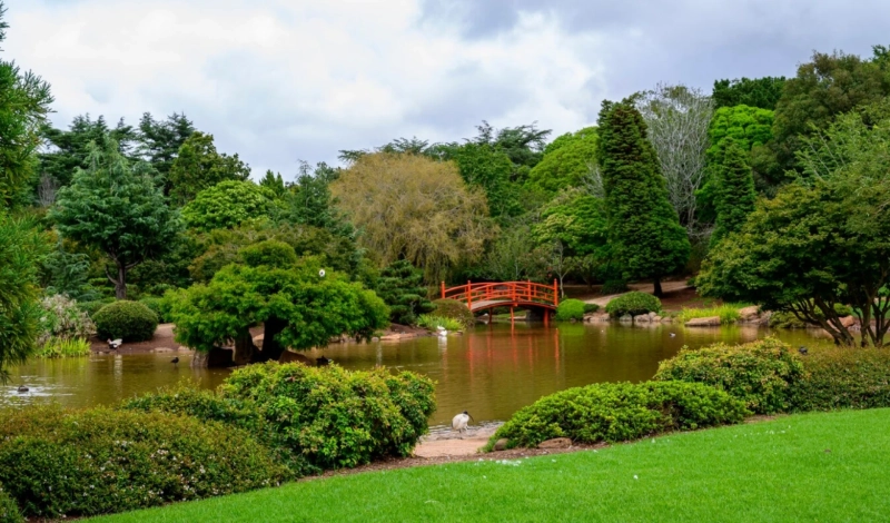 Reflections Water Gardens: Elevating Outdoor Living Through Inspired Water Features