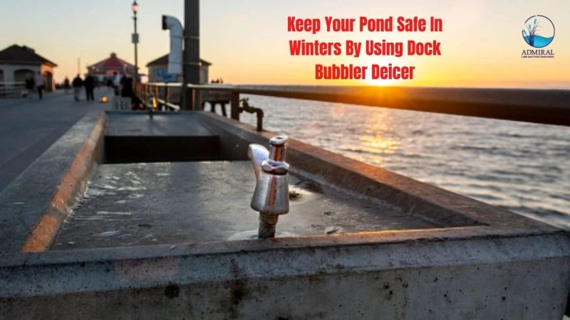 Keep Your Pond Safe in Winters By Using Dock Bubbler Deicer