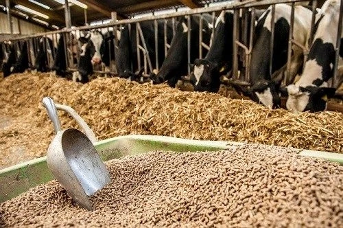 Organic Trace Minerals Feed Market 2021 | Size, Growth, Demand, Opportunities & Forecast To 2030