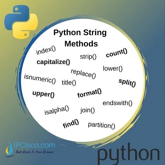 Python Programming Course