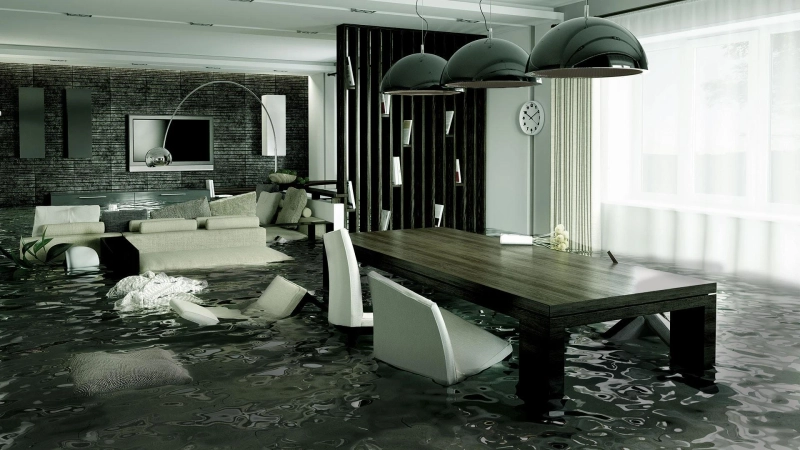 Water Damage Restoration: Cleaning of Floors and Carpets