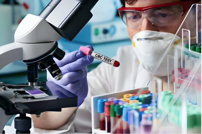 Learn the Difference Between CBC and CMP Blood Tests