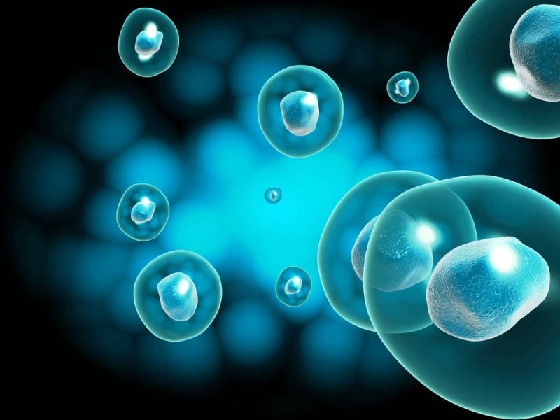 What is the Success Rate of Stem Cells Therapy?