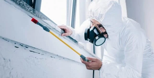 PEST CONTROL SERVICES IN THE HILLS DISTRICT - REAL SOLUTIONS GUARANTEED