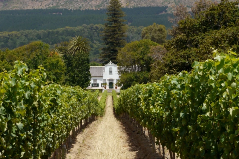 Living in Paarl and Why Many Buyers Look at This Area