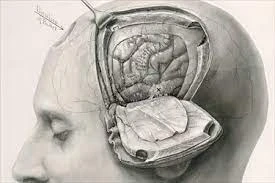 Tips to choose the Best Neurosurgeon