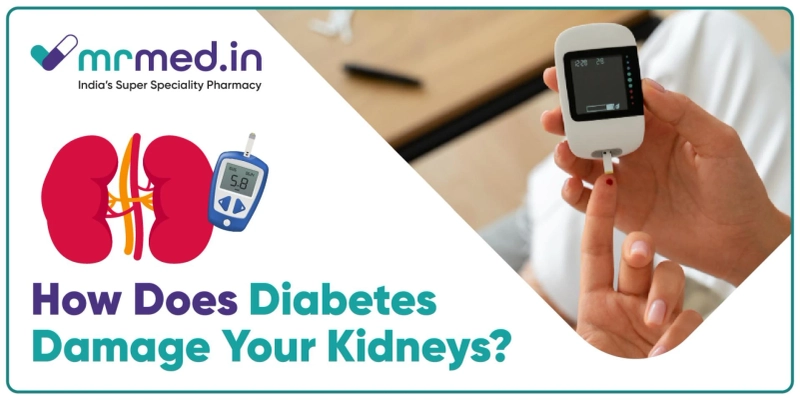 How Diabetes Damages Your Kidneys: Pathophysiology Explained