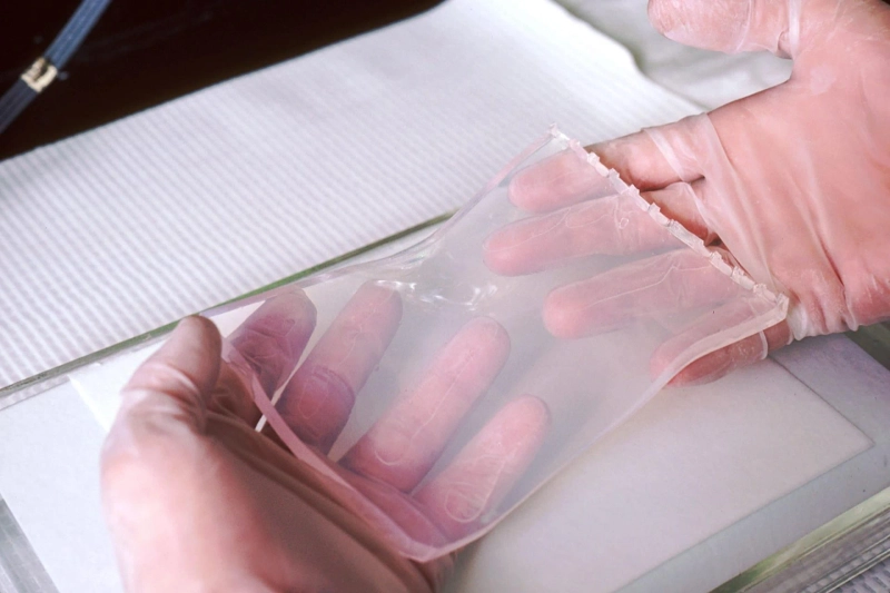 Southern Blotting Market Market Global Research, Demand and Top Leading Player By 2026