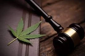 Benefits Of Hiring A Drug Offence Lawyer Early On In A Case