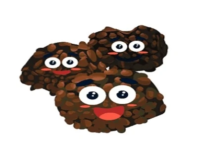 Purchase Magic Truffles at Wholecelium