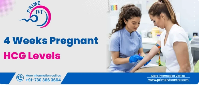4 Weeks Pregnant hCG Levels | IVF Doctor in Delhi