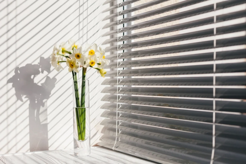 Choosing the Perfect Blinds for Windows: Your Ultimate Guide