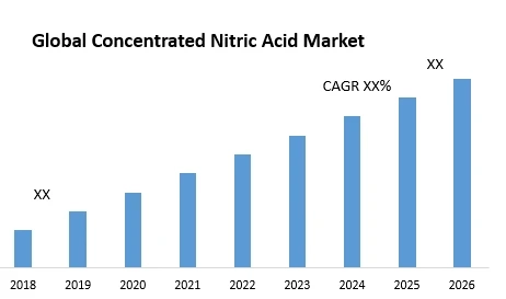 Future Prospects of the Global Concentrated Nitric Acid Market: Projections and Challenges