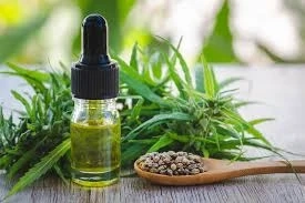 Unleash Flavor and Clouds - Your Vape Adventure Starts Here