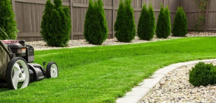 Lawn Mowing Vancouver: 2025 Prices & Wet Climate Care Guide