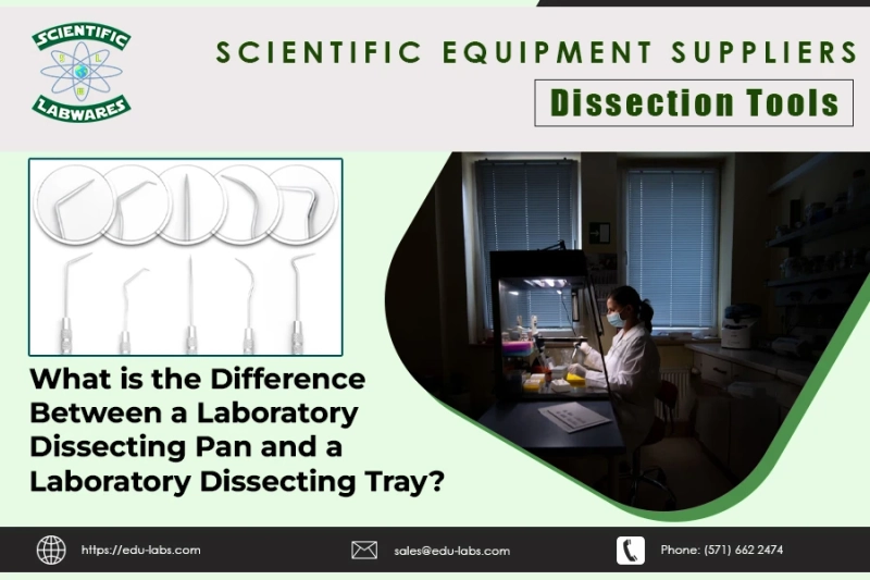 What is the Difference Between a Laboratory Dissecting Pan and a Laboratory Dissecting Tray?