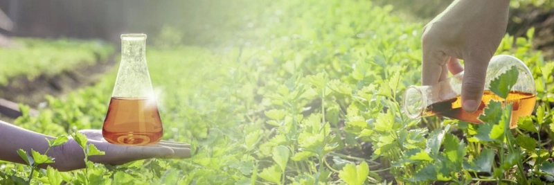Agrochemicals Market Is Estimated To Witness High Growth Owing To Increasing Demand for High-Quality Crops