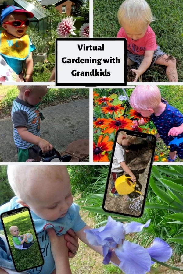 Nana’s Garden: Virtual Gardening With Grandkids While Social Distancing