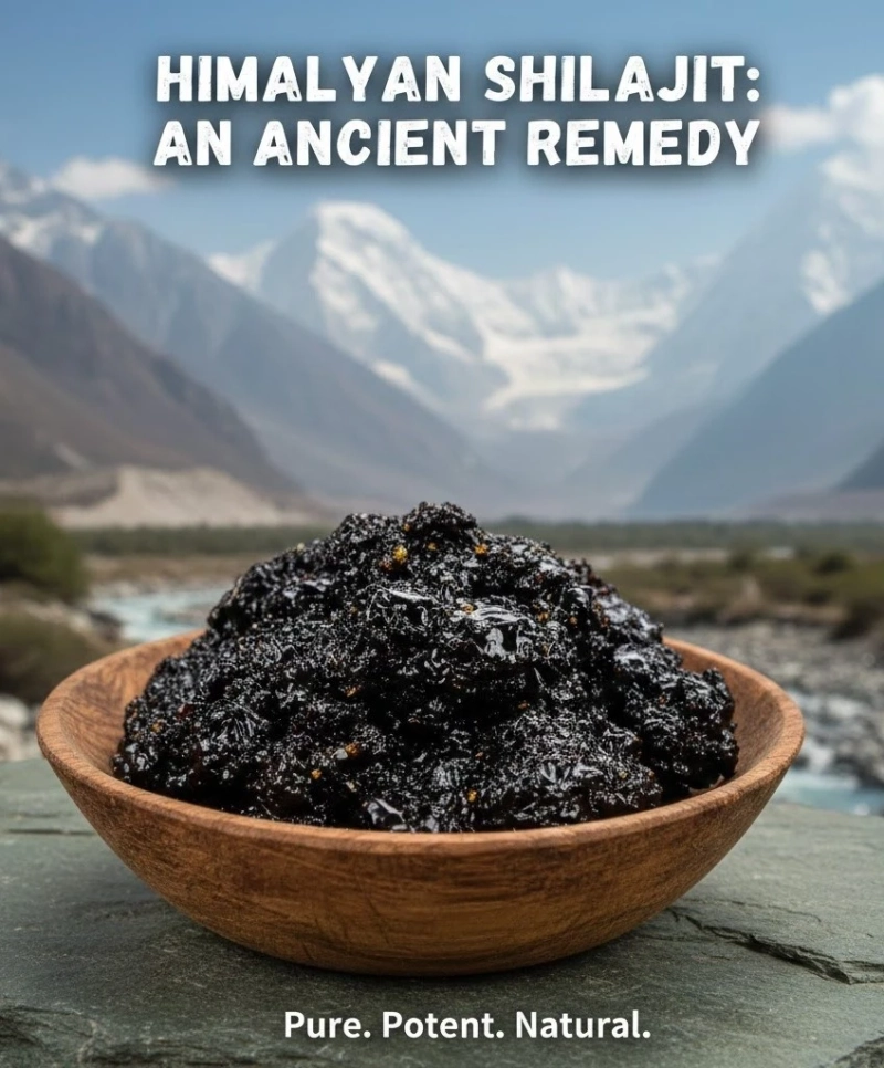 Himalayan Shilajit and Its Role in Natural Wellness