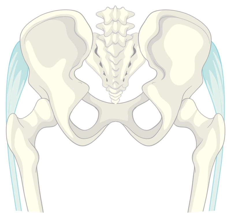 Hip Replacement Surgery Explained: Benefits, Success Rate, and Potential Complications
