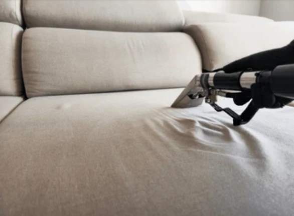 Upholstery Cleaning Houston: Strategic Methods for Handling Pet Accidents on Upholstered Furniture