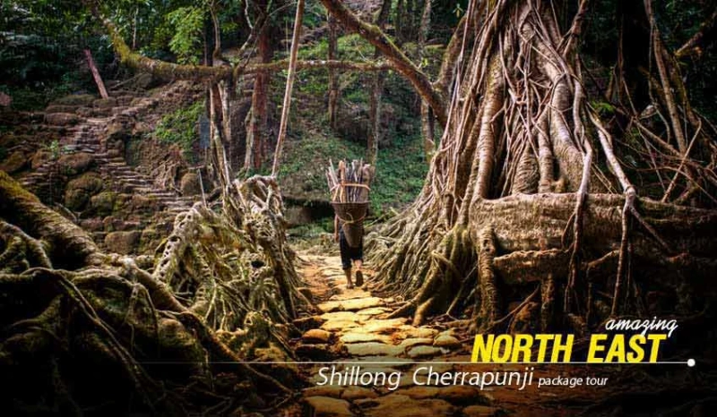 NORTH EAST PACKAGE TOUR - BEST OFFER PRICE!!!