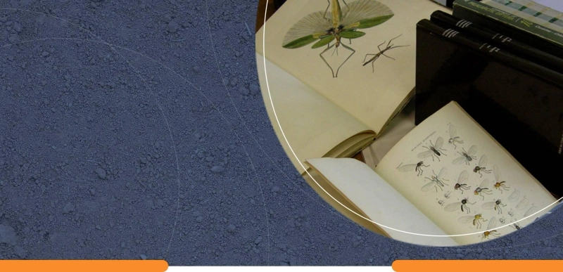 How‍ to C‌hoose the Right Termite Insurance Claim Lawyer