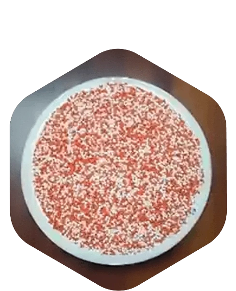 Pantoprazole Pellets Supplier and Exporter in India | Cost-Effective GI Solution | Srinag Pharma