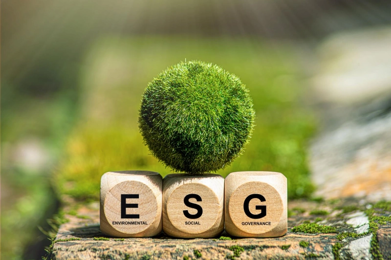 Why ESG Advisory is Becoming a Priority for Global Companies