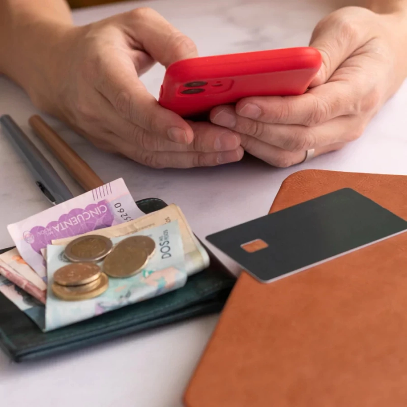 How Domestic Money Transfer Services Works in India?