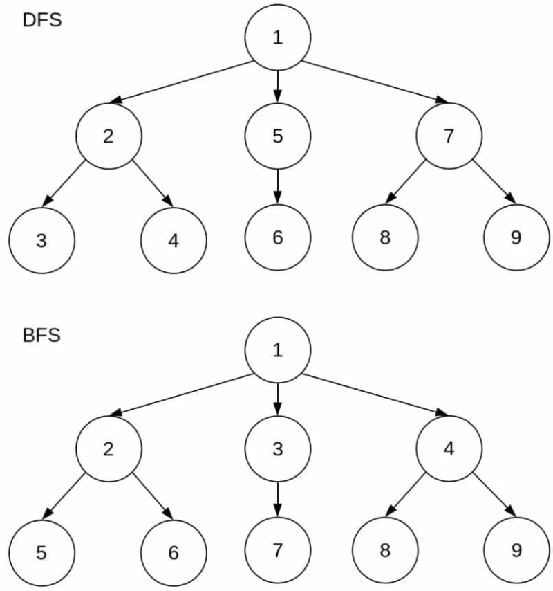 Difference Between BFS and DFS: Exploring the Depths