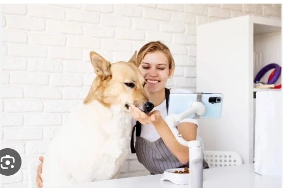 Strengthening Trust and Care in a Rapidly Evolving Animal Care Industry