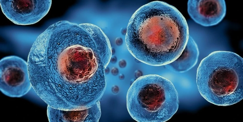 Regenerative Medicine: Healing Power of Stem Cell Therapy