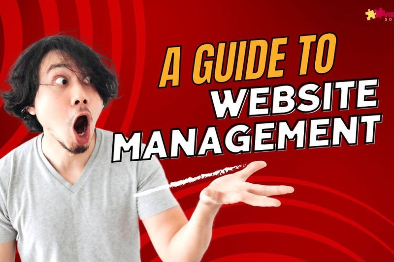 Navigating the Digital Realm: A Guide to Website Management