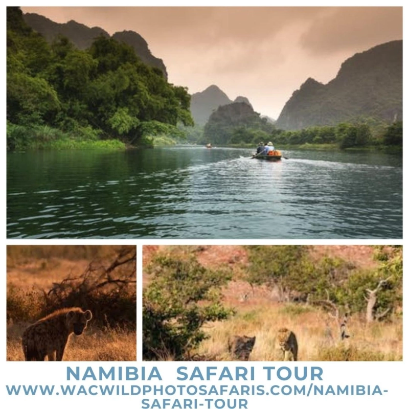 Namibia Tours and Safaris - WAC wild Photo safaris