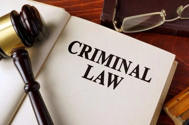 Best Cyber Crime Lawyer in Delhi for Online Evidence Drafting