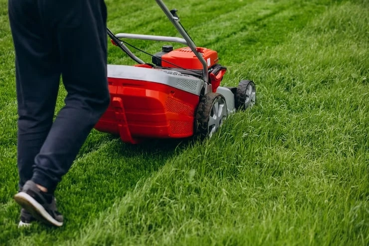 6 Beginner Lawn Care Errors that Keep Lush Grass from Growing