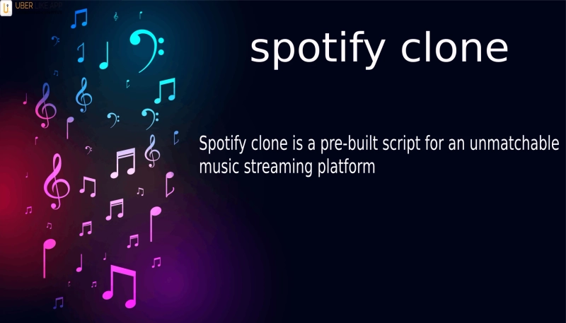 Vital aspects to consider while developing an app like Spotify