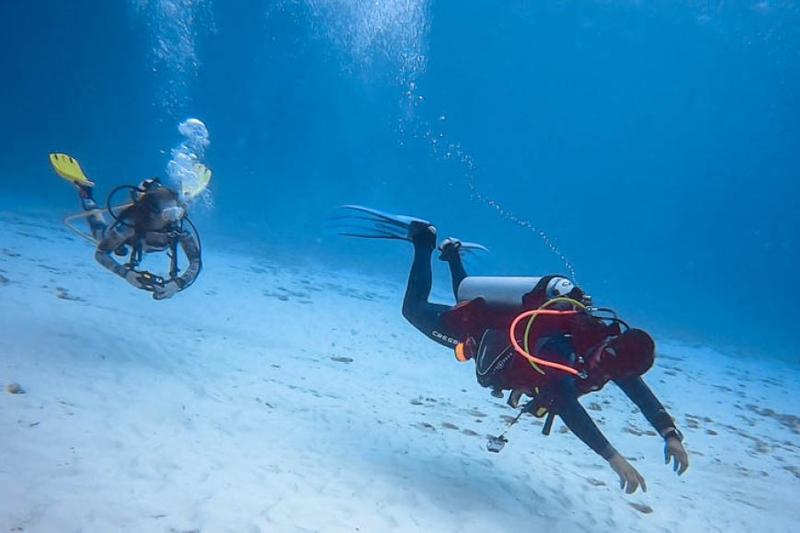 Diving into Dubai's Deep Blue: Underwater Adventures and Marine Life