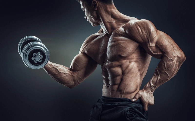 How to Make a Big Muscular Chest