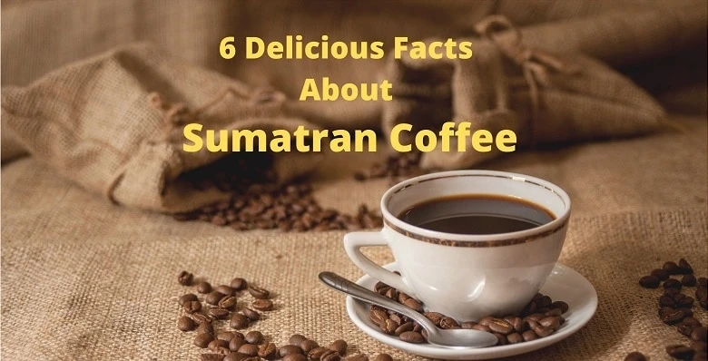 6 Delicious Facts about Sumatran Coffee