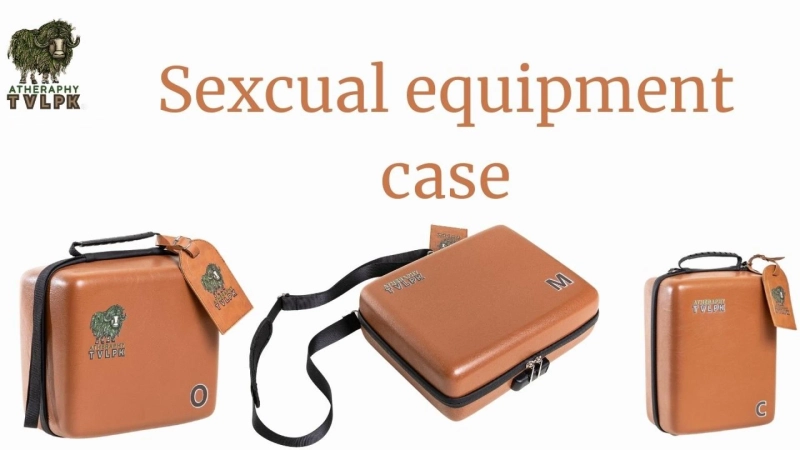 Unlocking the Secrets of the Sexcual Equipment Case: A Deep Dive into TVLPKCases