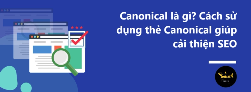 Hướng Dẫn Sử Dụng Thẻ Canonical -  Chuẩn SEO Lên Top