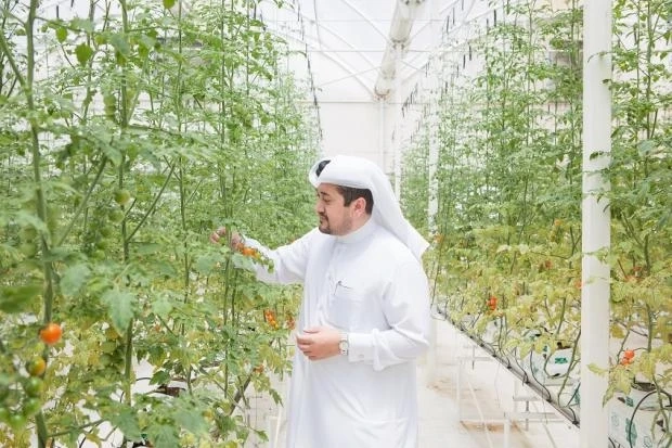 Qatar Greenhouse Market Size 2021: In-Depth Manufacturers Analysis, Trends, Share and Growth