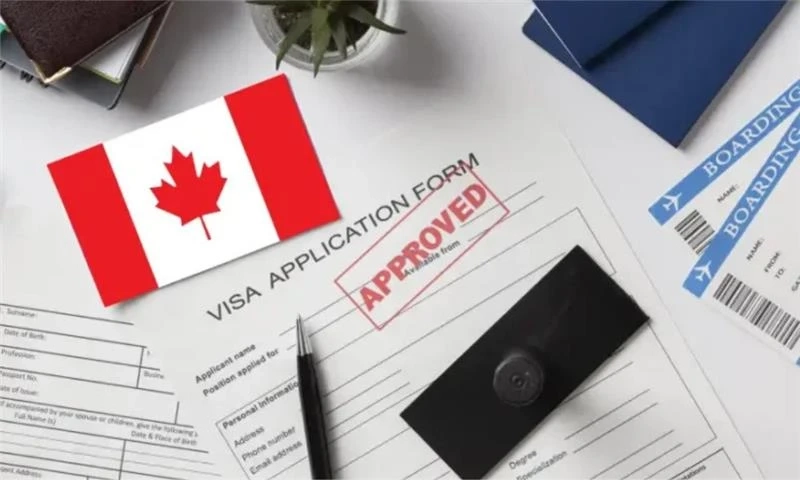 Which Services Do Canada PR Visa Consultants Offer for Permanent Residency