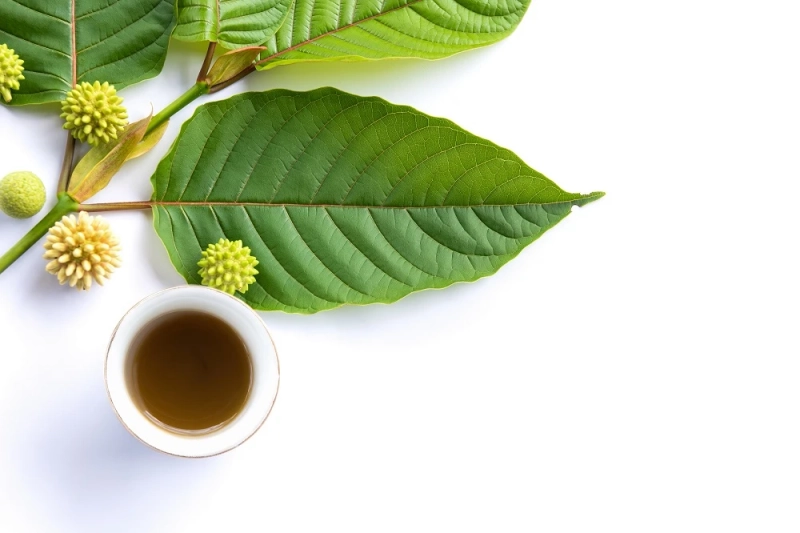 How Kava and Kratom Can Enhance Your Favorite Fall Activities