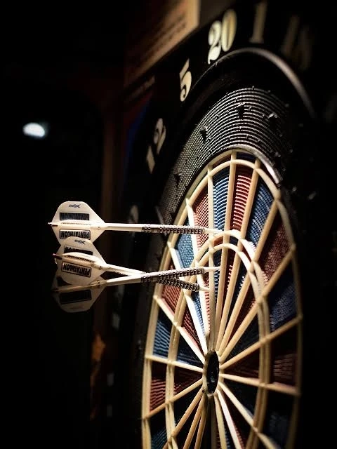 Which arrows do professional darts players use?